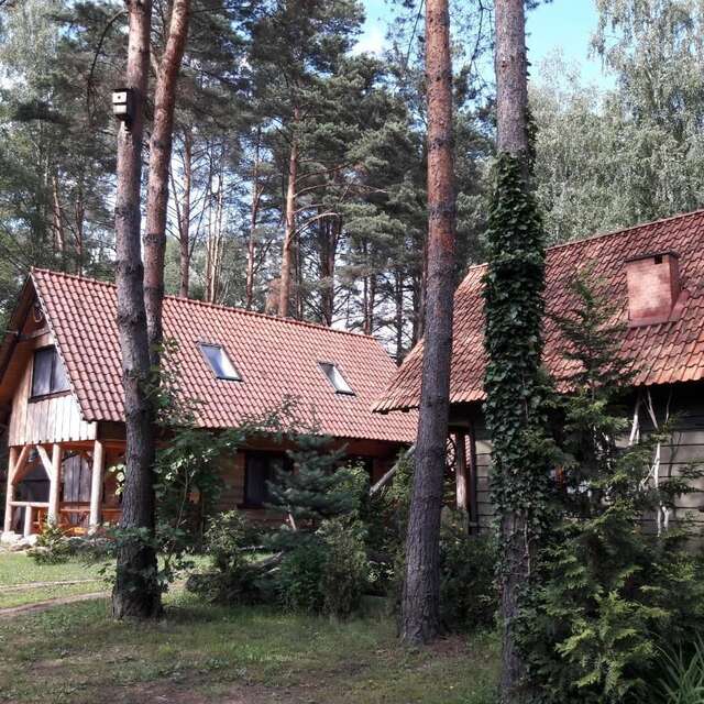 Дома для отпуска Zielone Domki Nowy Zyzdrój-7